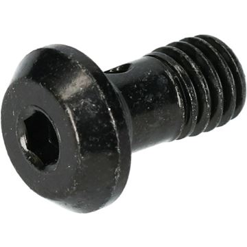 Picture of SHIMANO BANJO SCREW BR-M8100